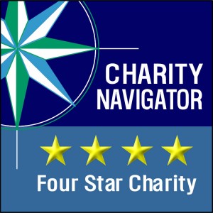 Charity navigator